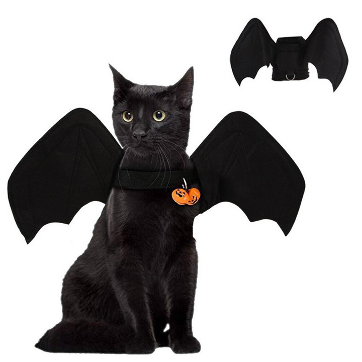 Black Cat Halloween Costumes