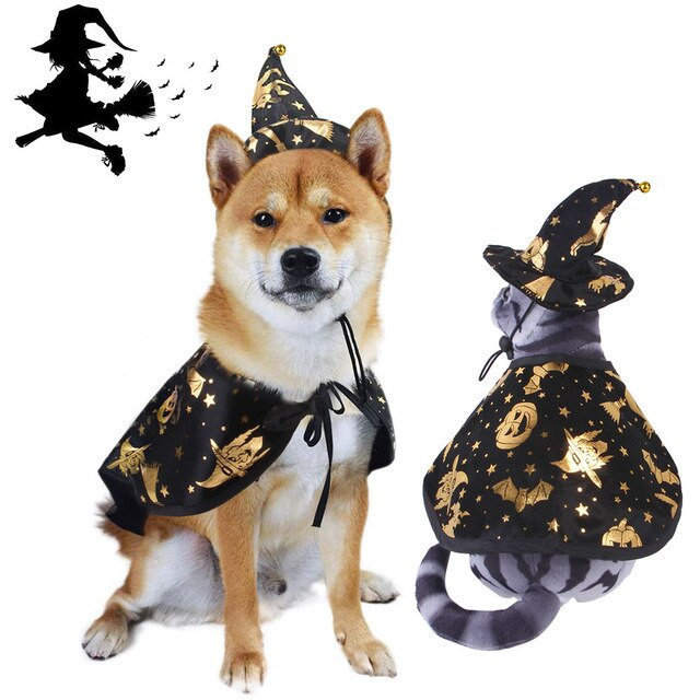 Halloween Dog Wizard Costume