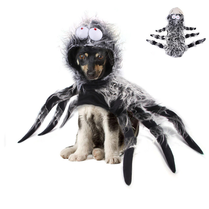 Long-haired Spider Chest Costume