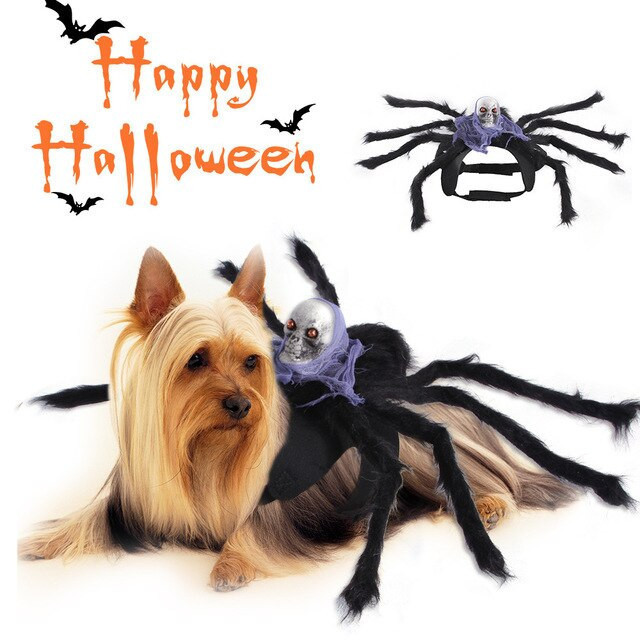 Skull Spider Puppy Costume