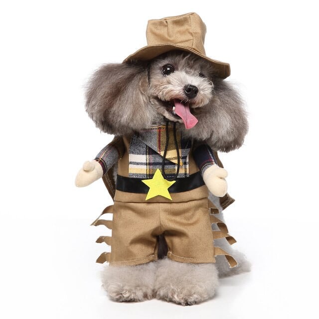 Dog Halloween Cowboy Costume