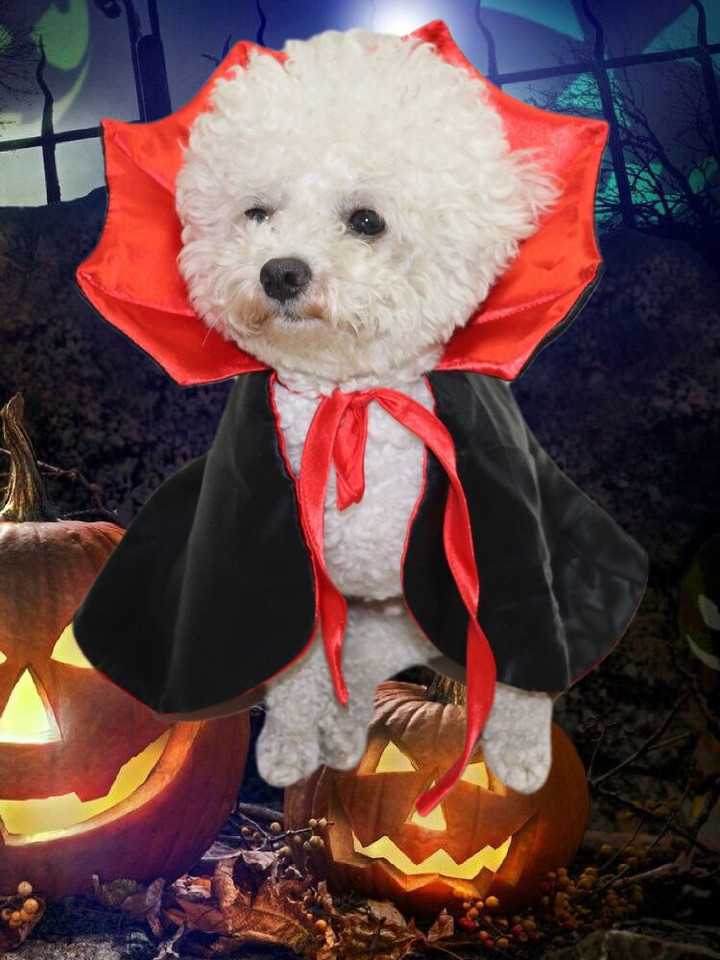 Pet Halloween Vampire Costume
