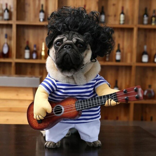 Cute Puppy Guitar Cosplay