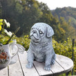 My Garden Pug Statue