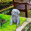 My Garden Pug Statue