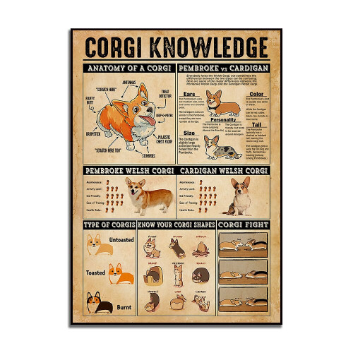 Love Corgi Dog Poster