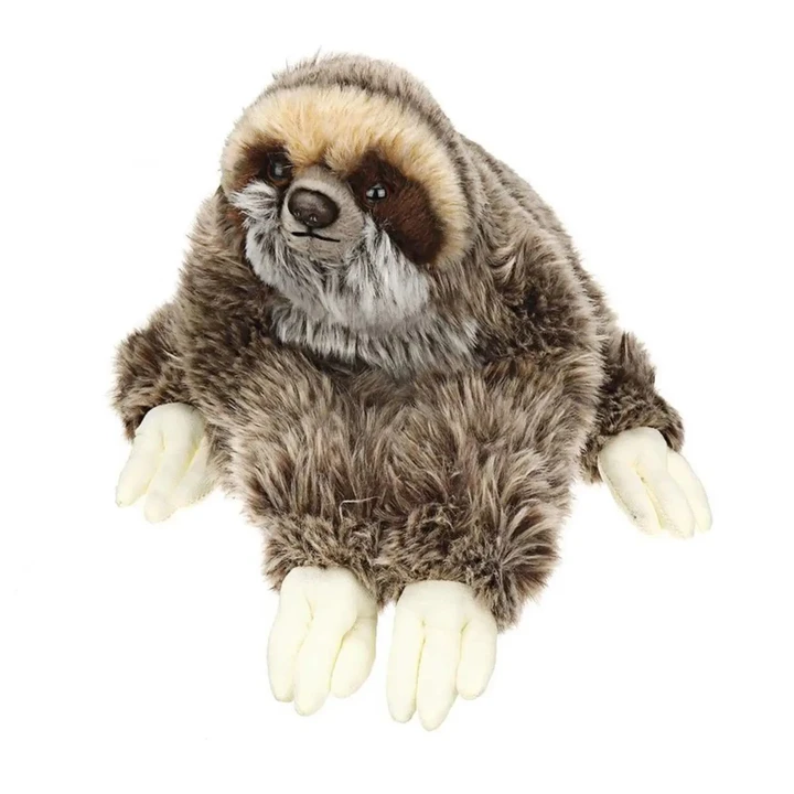 Cute Realistic Three Toed Sloth