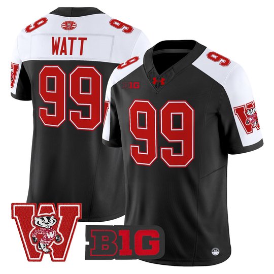 Men's Wisconsin Badgers Throwback Vapor Limited Jersey - All Stitched