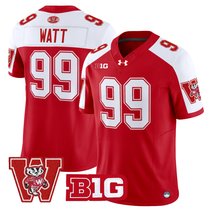 Men's Wisconsin Badgers Throwback Vapor Limited Jersey - All Stitched