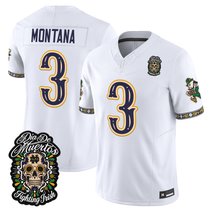 Men's Notre Dame Fighting Irish Día de los Muertos Vapor Limited Jersey - All Stitched