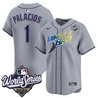 Men's Tampa Bay Rays 2026 World Series Vapor Premier Limited Jersey V2 - All Stitched