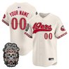 San Francisco 49ers Día de los Muertos Vapor Limited Custom Baseball Jersey - All Stitched