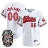 San Francisco 49ers Día de los Muertos Vapor Limited Custom Baseball Jersey - All Stitched