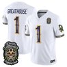 Men's Notre Dame Fighting Irish Día de los Muertos Vapor Limited Jersey - All Stitched