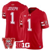Men's Wisconsin Badgers Throwback Vapor Limited Jersey - All Stitched