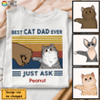 Best Cat Dad Fluffy Cat Personalized Shirt Sweatshirt Hoodie AP435