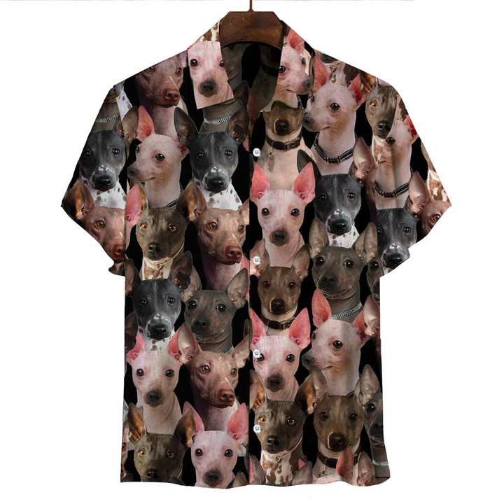 American Hairless Terriers - You Will Have A Bunch Of Dogs Hawaiian Shirt