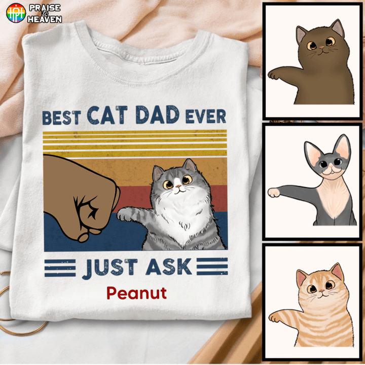 Best Cat Dad Fluffy Cat Personalized Shirt Sweatshirt Hoodie AP435