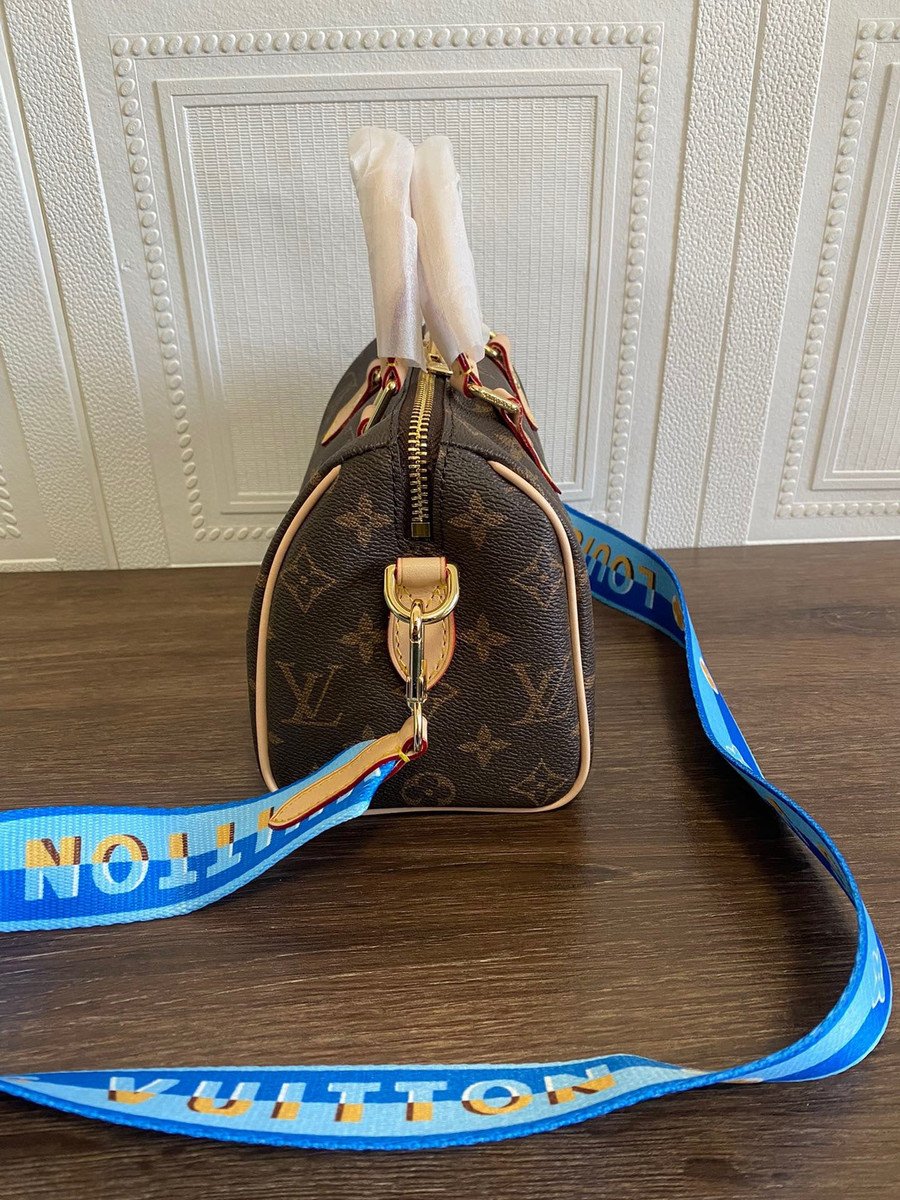 louis vuitton purse with blue strap