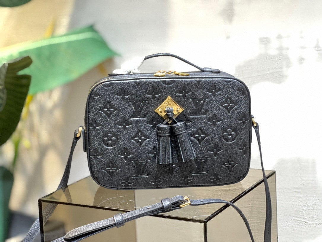 What Goes Around Comes Around Louis Vuitton Black AB Monogram Saintonge  Camera Bag