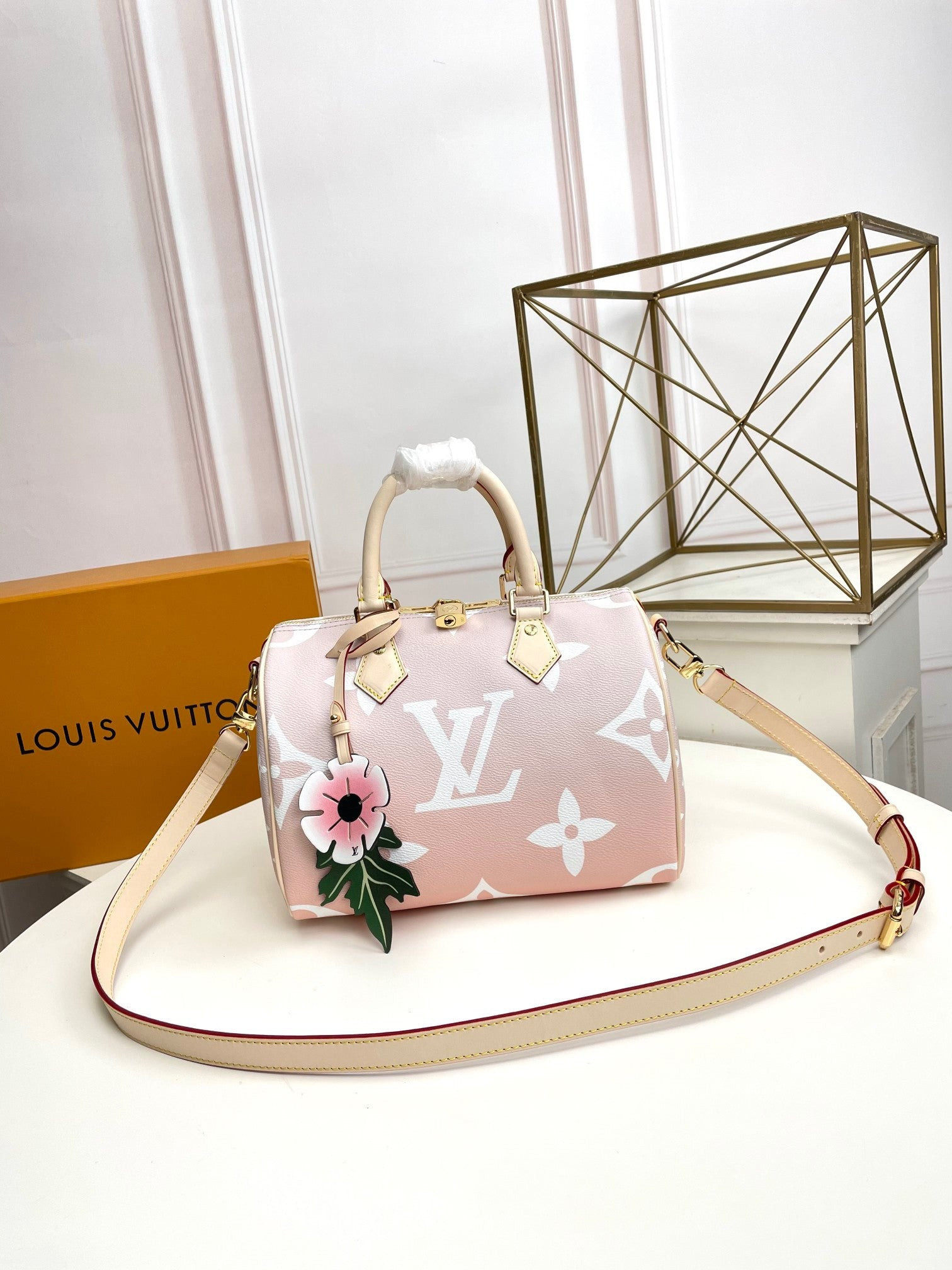 Louis Vuitton Speedy Bandouliere Gradient Pastel 25 Mist Gray