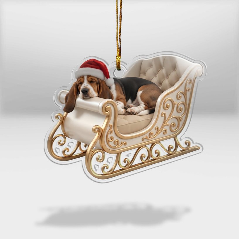 Basset Hound