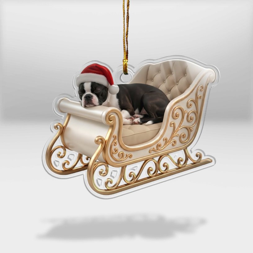 Boston Terrier