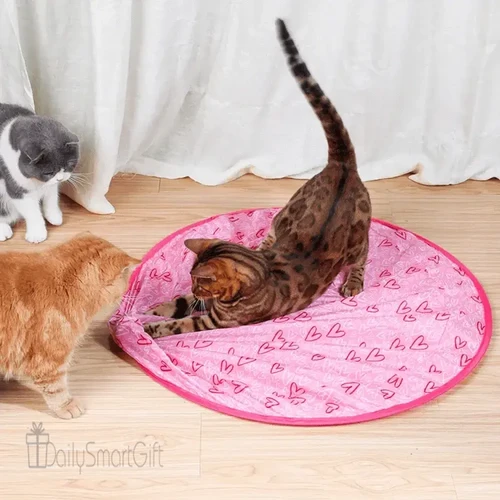 2 in 1 Simulated Interactive Hunting Cat Toy collection
