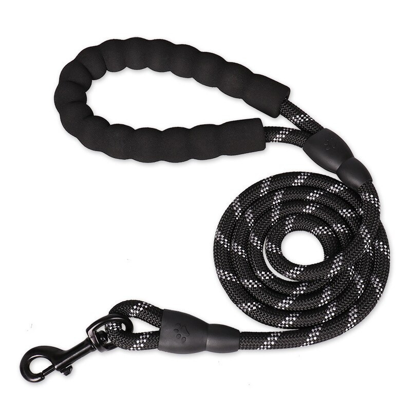 Dog Accesoires