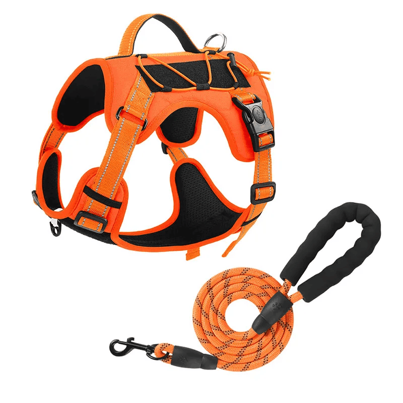 Dog Harness