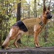 TRENDING TACTICAL DOG HARNESS