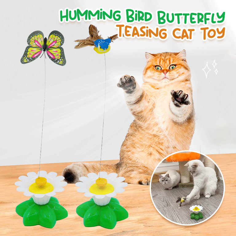 Humming Bird Butterfly Teasing Cat Toy