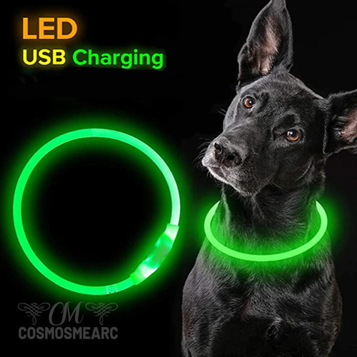 Glowing USB Charging Luminous Leash for Big Cat Collar Small Bright Labrador Pets Dogs Products