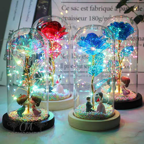 Fairy String Lights In Dome Gift For Wife and Girlfriend