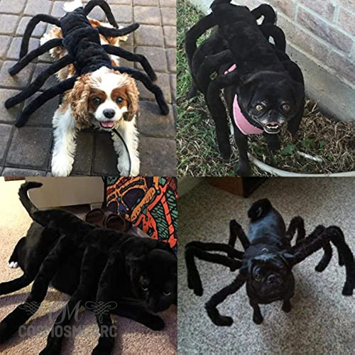 Halloween Dog Costume Cat Spider Halloween Costume for Dog Pet Clothes Puppy Cat Costume