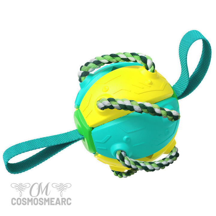 Interactive Flying Disk Ball Dog Toy