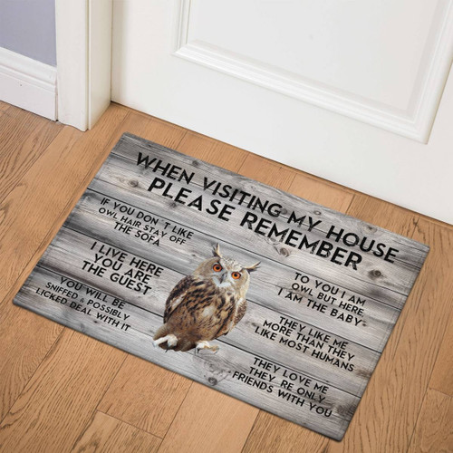 Owl Door Mat