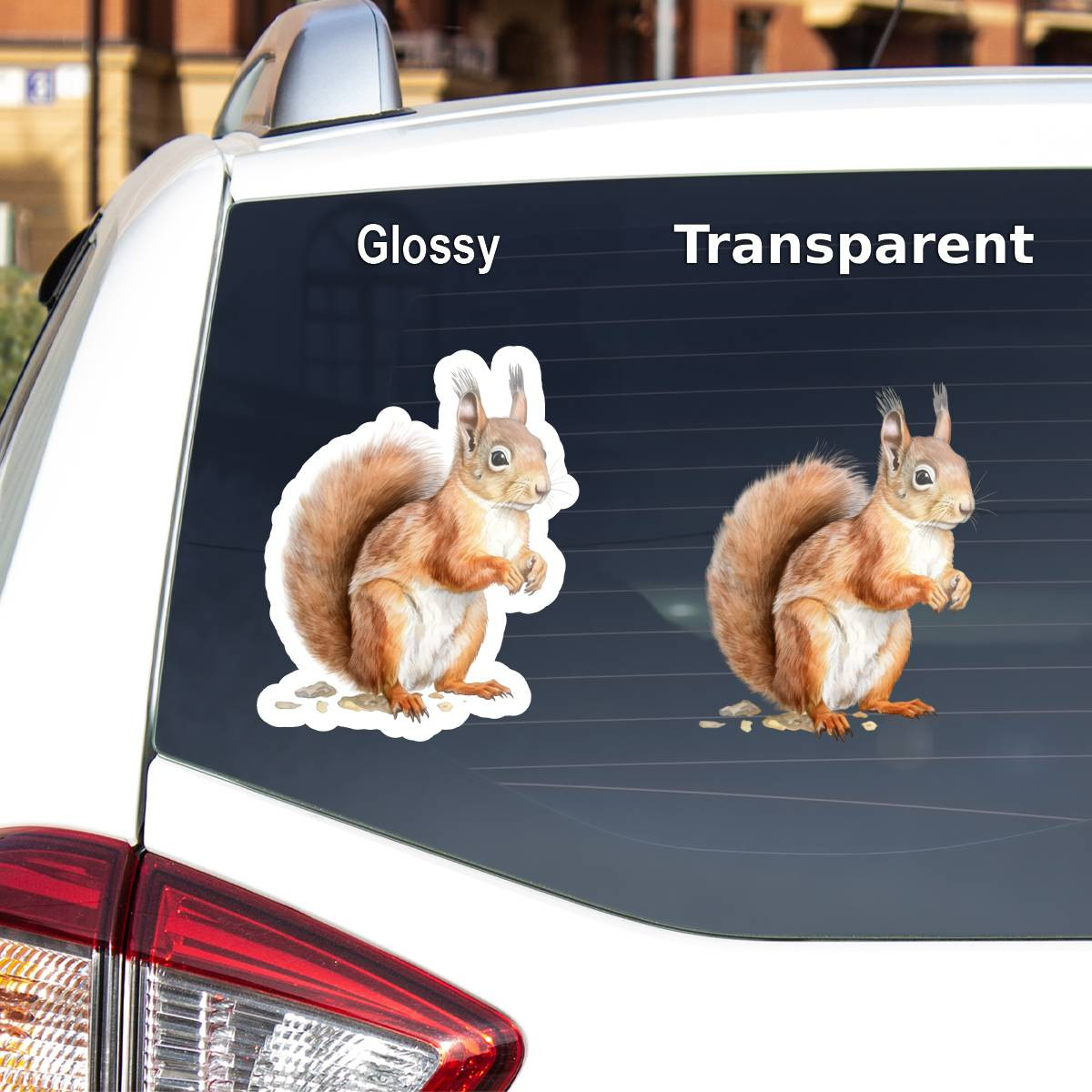 Squirrel Sticker - NemaShop