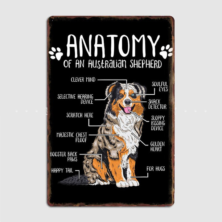 Anatomy Of An Australian Shepherd Dogs Metal Poster
