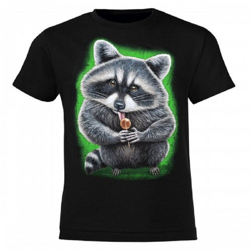 Raccoon Summer Streetwear T Shirt