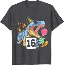 Dinosaurier 16. Geburtstag Jungen Mädchen 16 Jahre Dino T-Shirt