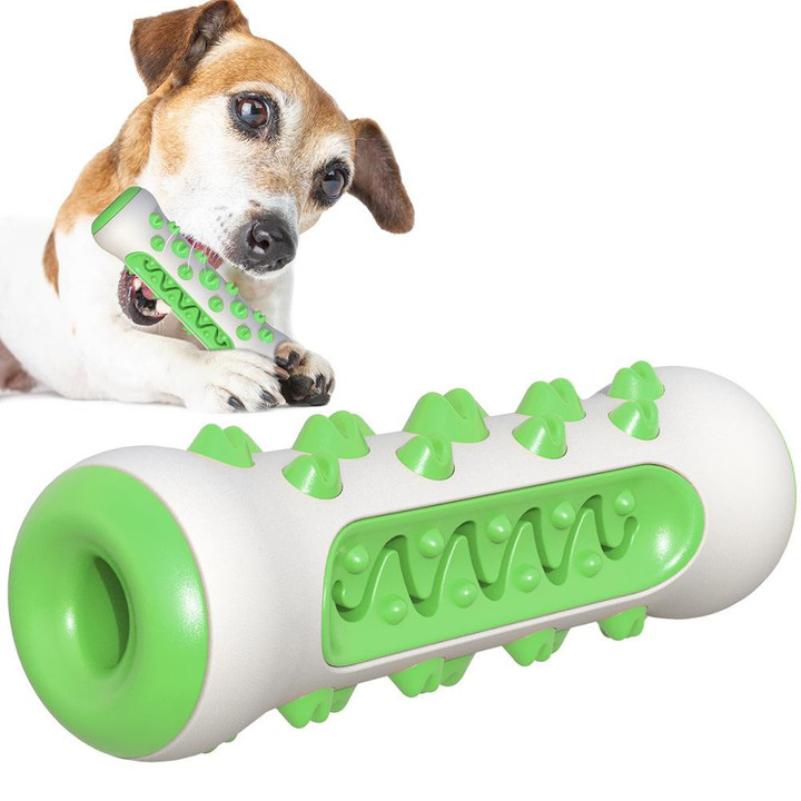 Molar Toothbrush Chew Toy