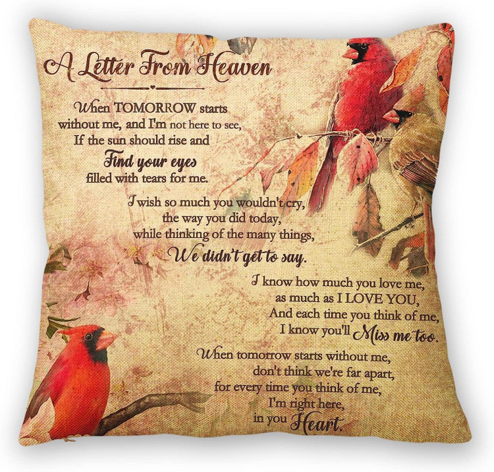 Cardinal A Letter from Heaven Throw Pillow Covers