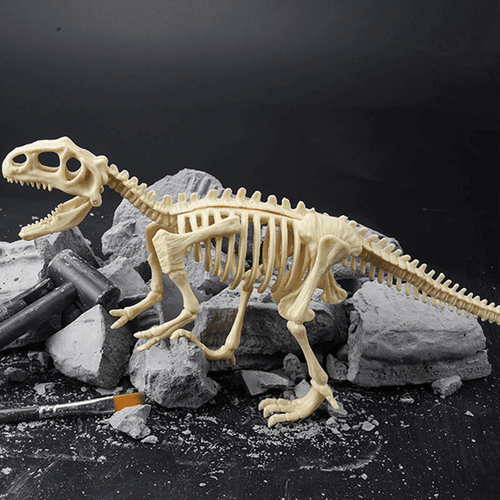 Great Educational Toy For Kids🎁2022 New Arrival Dinosaur Fossil Digging Kit