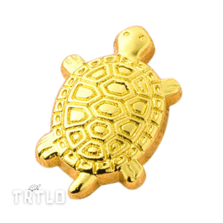 Japanese Money Turtle Small Golden Tortoise Guarding Praying Lucky Wealth Home Decor