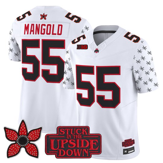 Men's Ohio State Buckeyes 'Stranger Things Edition' Vapor Limited Jersey - All Stitched