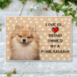 Love is being owned by a Pomeranian