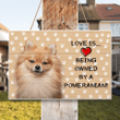 Love is being owned by a Pomeranian