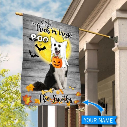 DVF20081801 Boo Border Collie Trick or Treat Personalized Flag