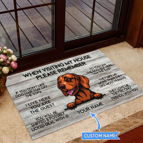 Vizsla-When visiting my house Personalized Doormat THJ21082809